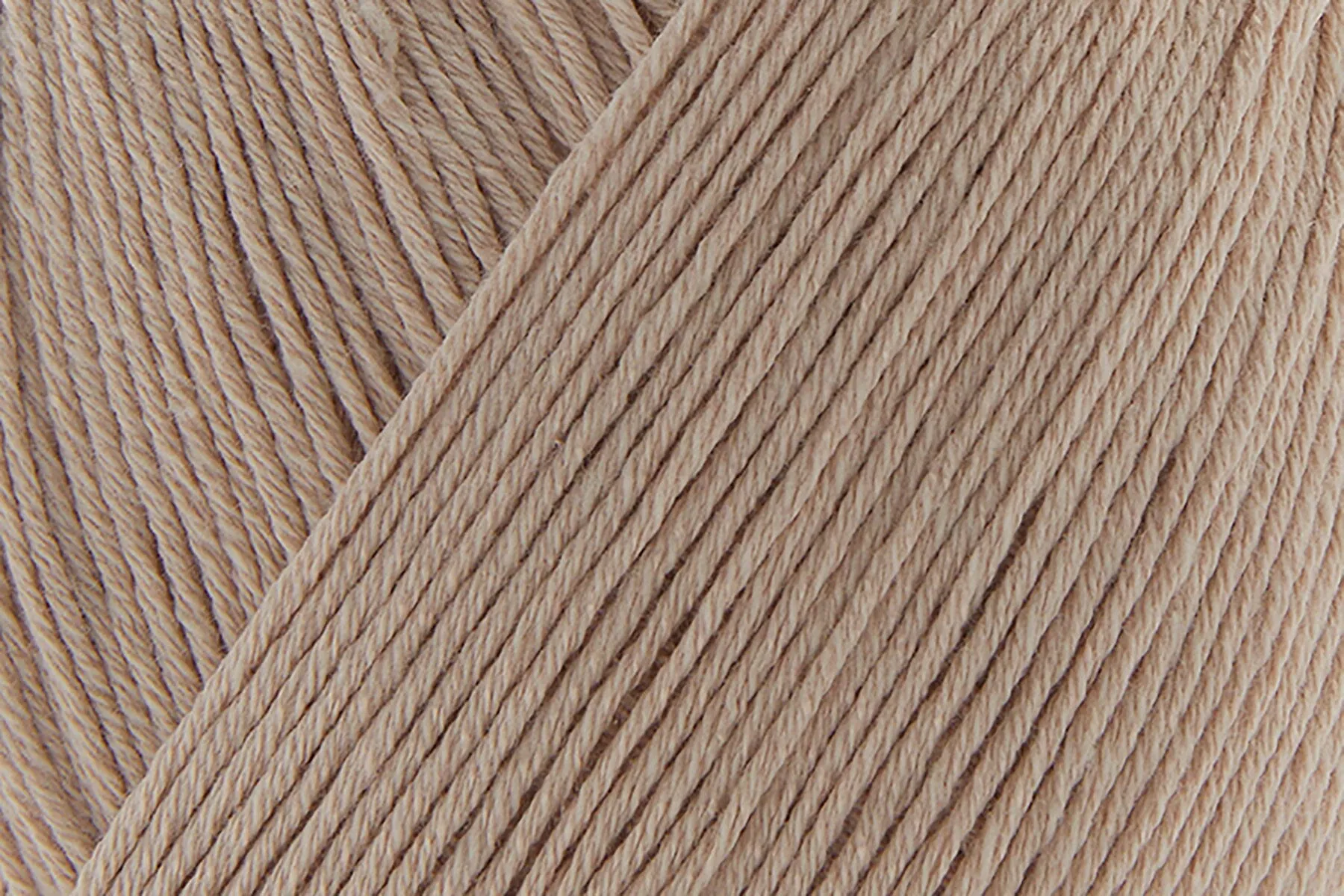 Bamboo Pop